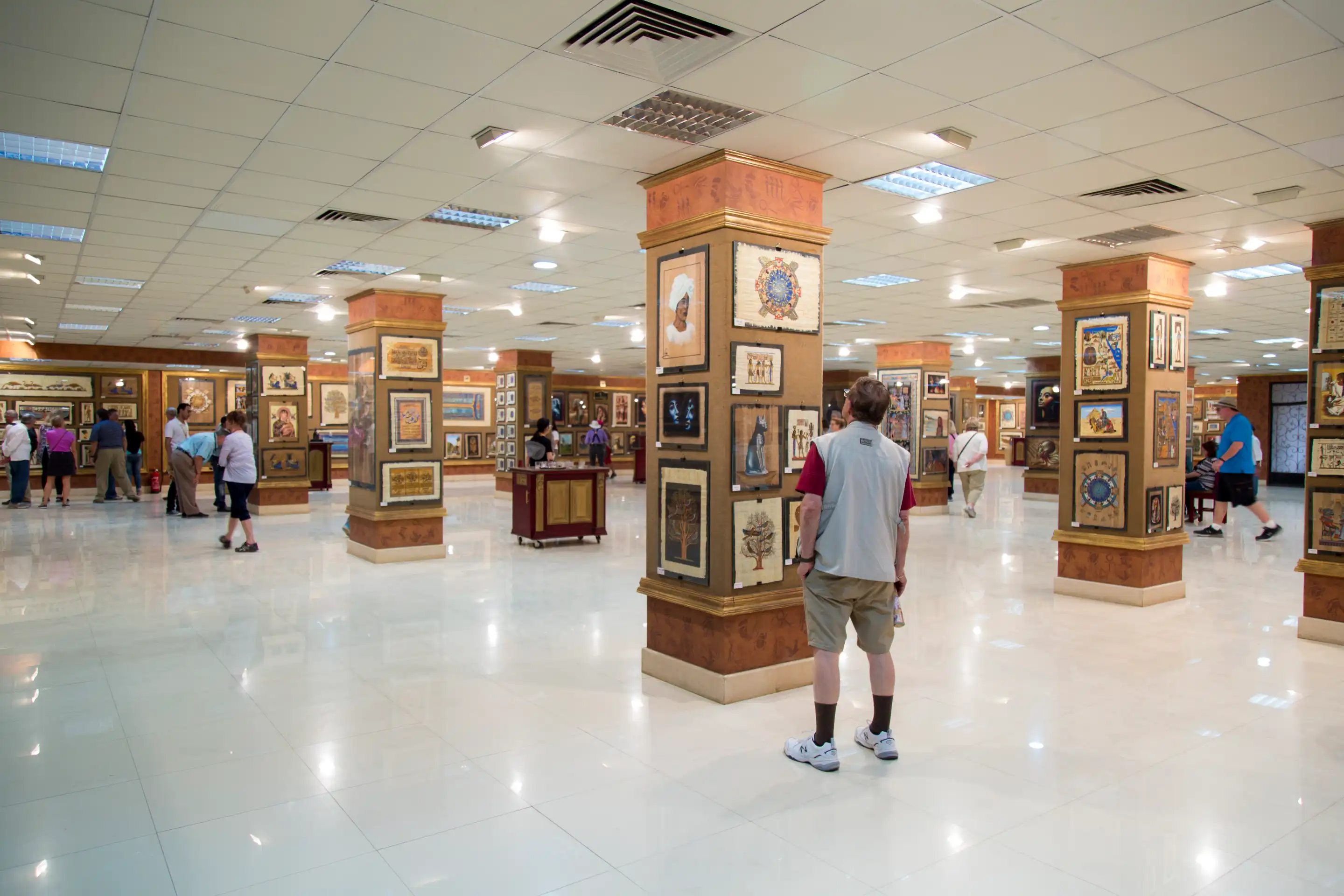 Aswan papyrus institute